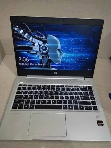 HP ProBook 455 G7 — Ryzen 5 4500U | 16GB | 256GB - Image 2